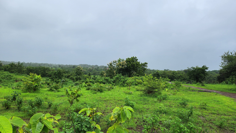  Agricultural Land 2 Acre for Sale in Karjat, Mumbai