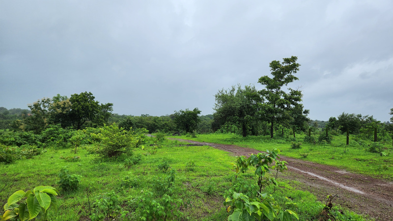  Agricultural Land 2 Acre for Sale in Karjat, Mumbai