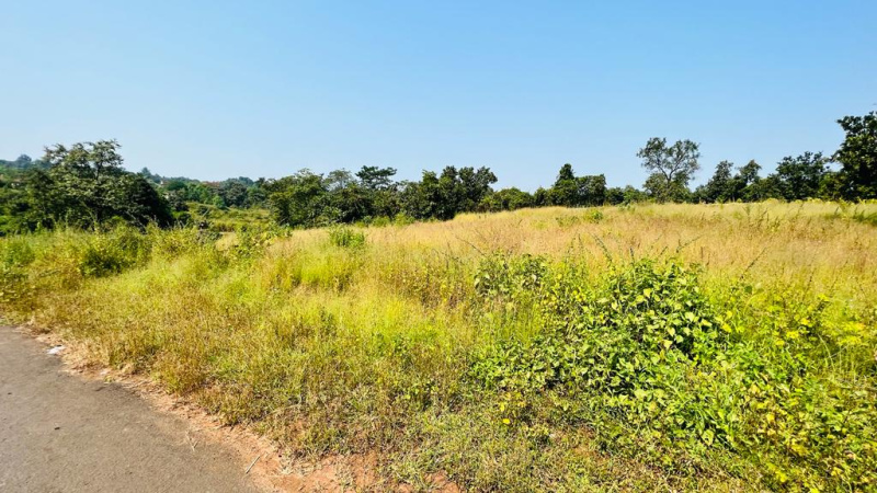  Agricultural Land 35 Acre for Sale in Karjat, Mumbai