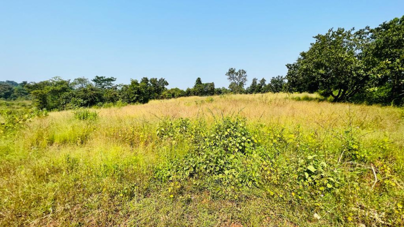  Agricultural Land 35 Acre for Sale in Karjat, Mumbai