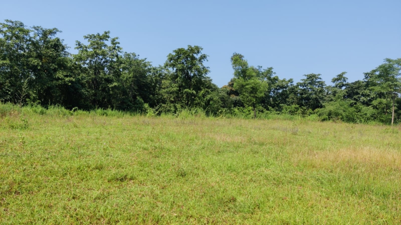  Agricultural Land 14 Acre for Sale in Karjat, Mumbai