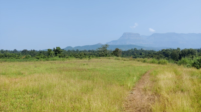  Agricultural Land 14 Acre for Sale in Karjat, Mumbai