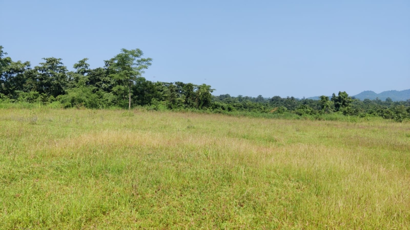  Agricultural Land 14 Acre for Sale in Karjat, Mumbai