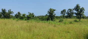  Agricultural Land for Sale in Karjat, Mumbai