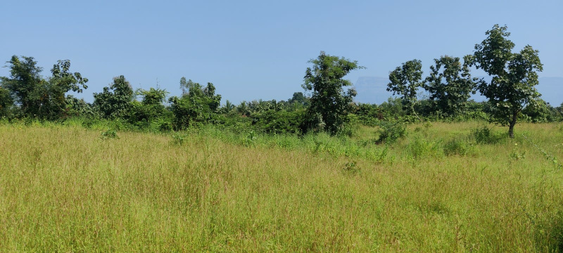  Agricultural Land 9 Acre for Sale in Karjat, Mumbai