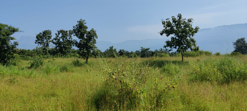  Agricultural Land 9 Acre for Sale in Karjat, Mumbai