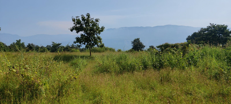  Agricultural Land 9 Acre for Sale in Karjat, Mumbai