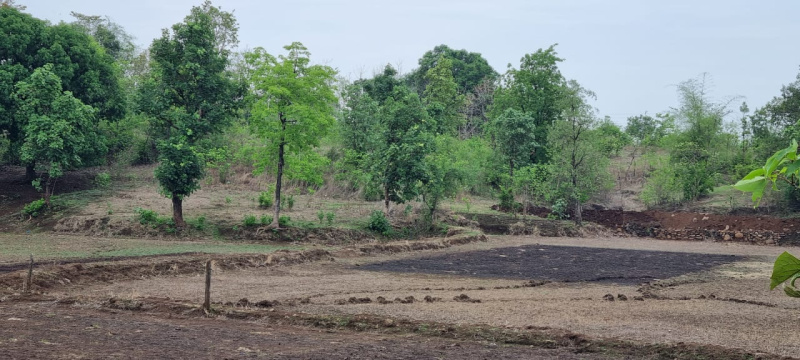  Agricultural Land 25 Acre for Sale in Karjat, Mumbai