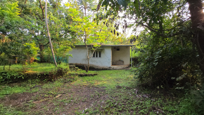 3 BHK 2300 Sq.ft. Farm House for Sale in Karjat, Mumbai