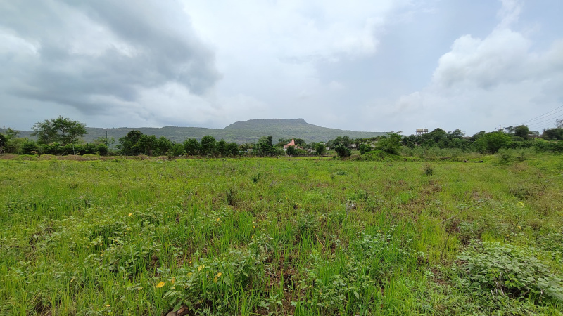  Agricultural Land 31 Guntha for Sale in Karjat, Mumbai
