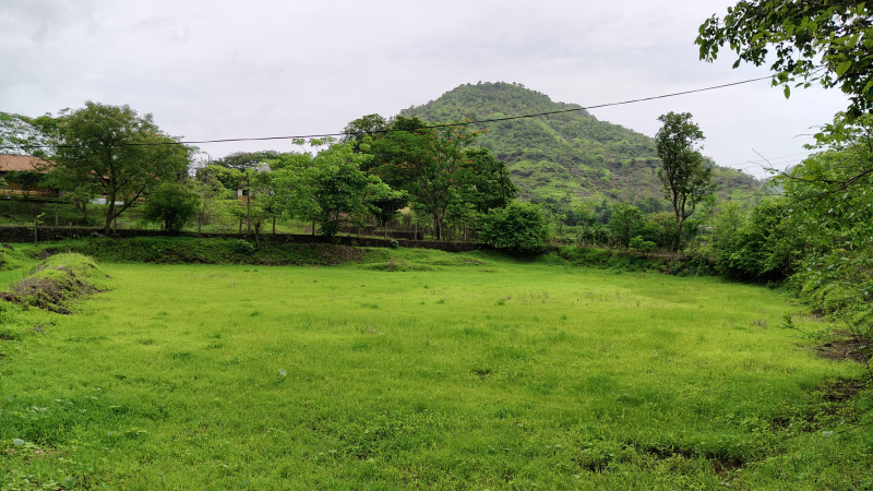  Agricultural Land 30 Guntha for Sale in Karjat, Mumbai
