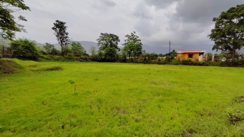  Agricultural Land 30 Guntha for Sale in Karjat, Mumbai