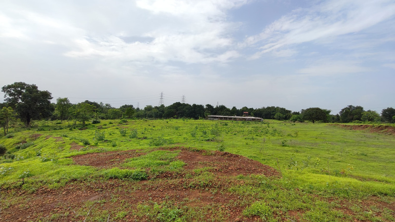  Agricultural Land 9 Acre for Sale in Karjat, Mumbai