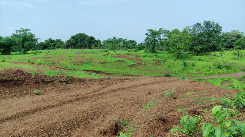  Agricultural Land 9 Acre for Sale in Karjat, Mumbai