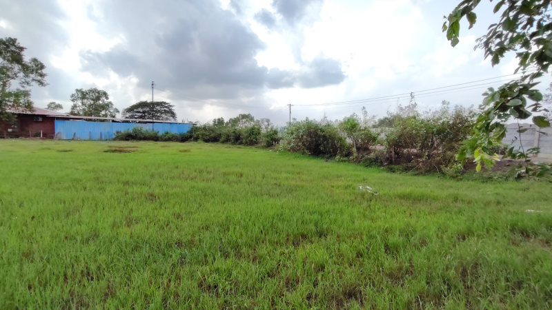  40 Guntha Agricultural/Farm Land for Sale in Karjat, Mumbai