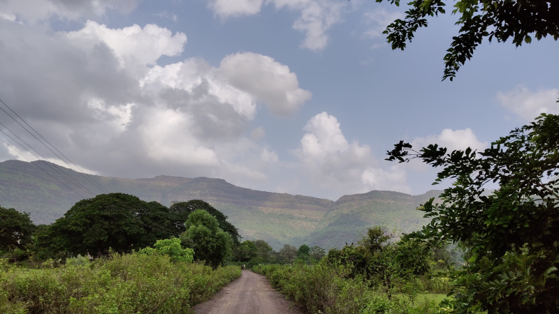  40 Guntha Agricultural/Farm Land for Sale in Karjat, Mumbai