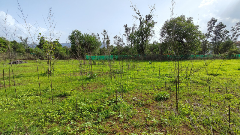  Agricultural Land 18 Guntha for Sale in Karjat, Mumbai