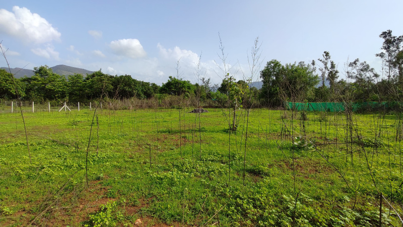  Agricultural Land 18 Guntha for Sale in Karjat, Mumbai