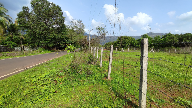  Agricultural Land 18 Guntha for Sale in Karjat, Mumbai