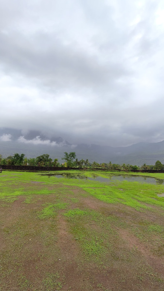  Agricultural Land 106 Guntha for Sale in Karjat, Mumbai