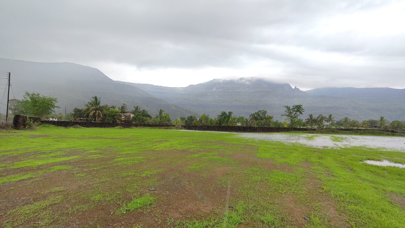  Agricultural Land 106 Guntha for Sale in Karjat, Mumbai