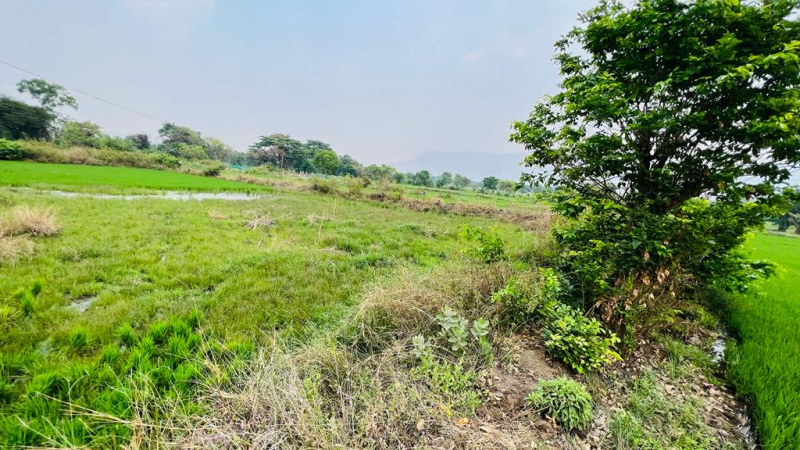  52 Guntha Agricultural/Farm Land for Sale in Karjat, Mumbai
