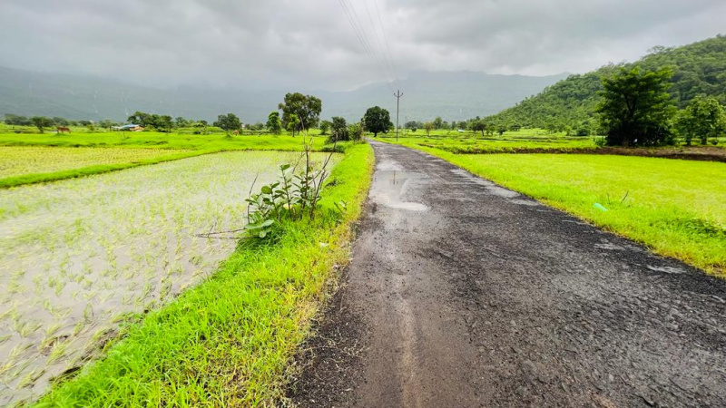  Agricultural Land 48 Guntha for Sale in Karjat, Mumbai