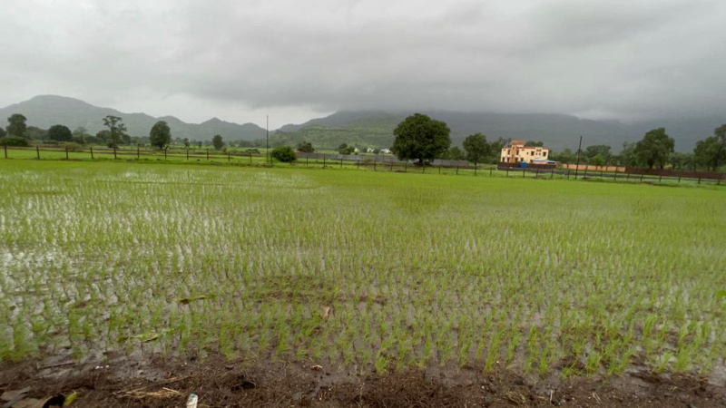  Agricultural Land 48 Guntha for Sale in Karjat, Mumbai