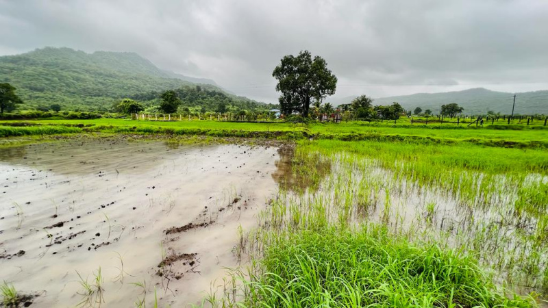  Agricultural Land 48 Guntha for Sale in Karjat, Mumbai