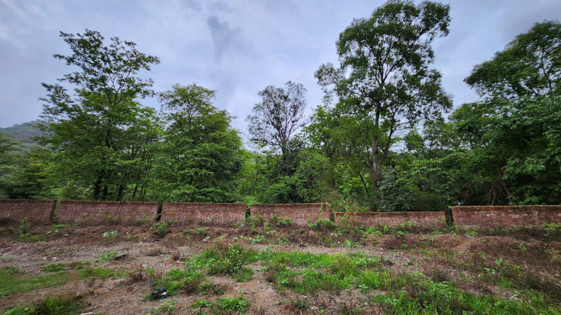  Agricultural Land 25 Guntha for Sale in Karjat, Mumbai