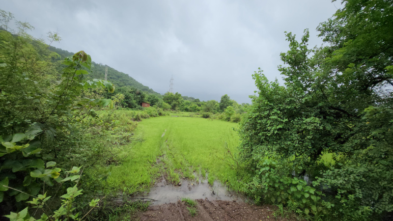  Agricultural Land 3 Acre for Sale in Karjat, Mumbai