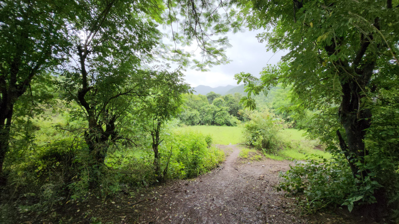  Agricultural Land 3 Acre for Sale in Karjat, Mumbai
