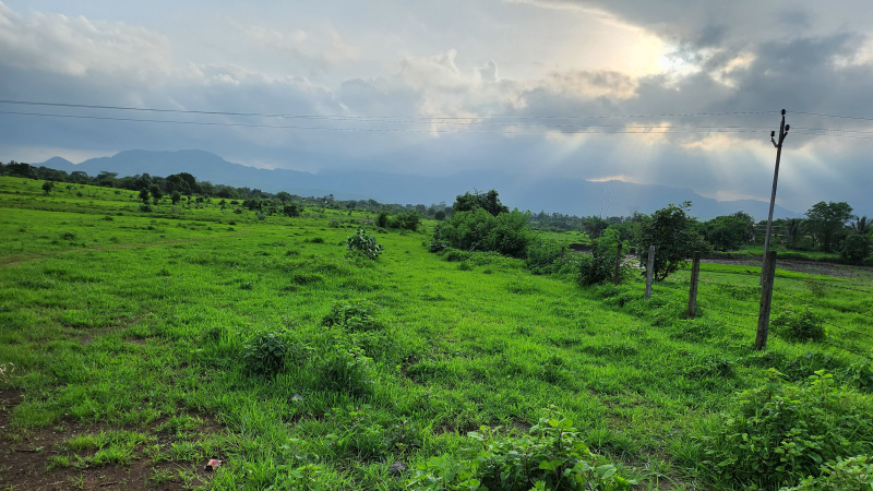  10 Acre Agricultural/Farm Land for Sale in Karjat, Mumbai
