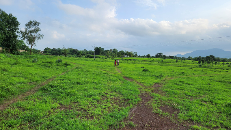  10 Acre Agricultural/Farm Land for Sale in Karjat, Mumbai