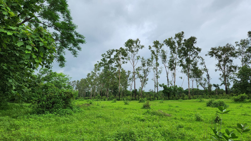  Agricultural Land 16 Acre for Sale in Karjat, Mumbai