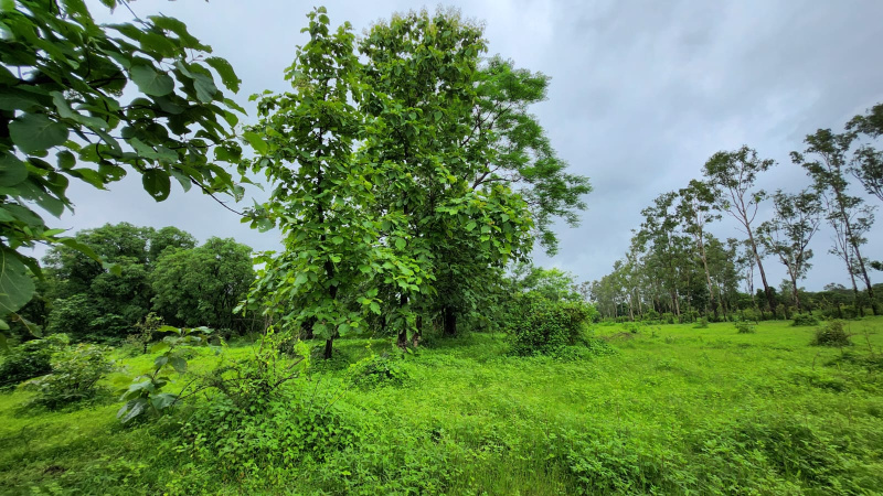  Agricultural Land 16 Acre for Sale in Karjat, Mumbai