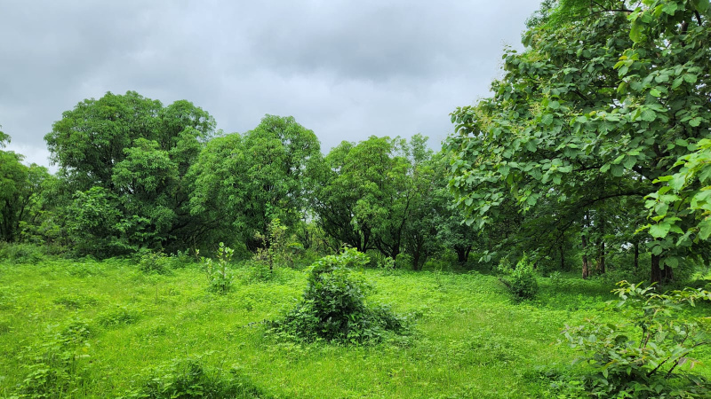  Agricultural Land 16 Acre for Sale in Karjat, Mumbai