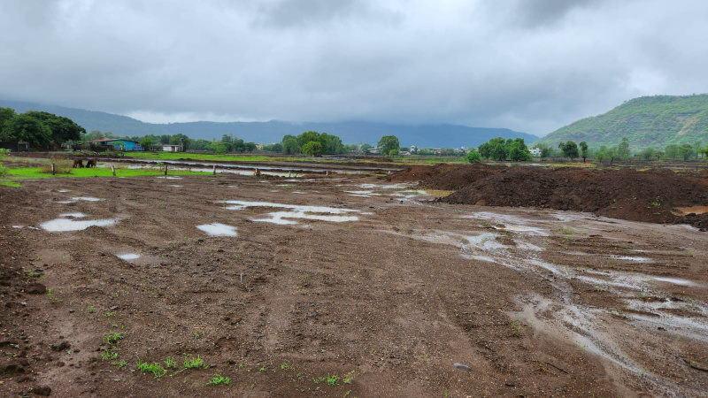  Agricultural Land 20 Acre for Sale in Karjat, Mumbai