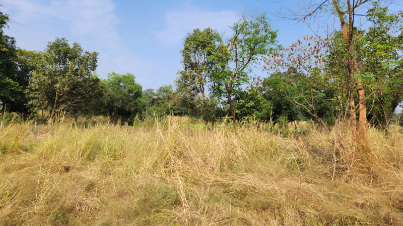  Agricultural Land 4 Acre for Sale in Karjat, Mumbai