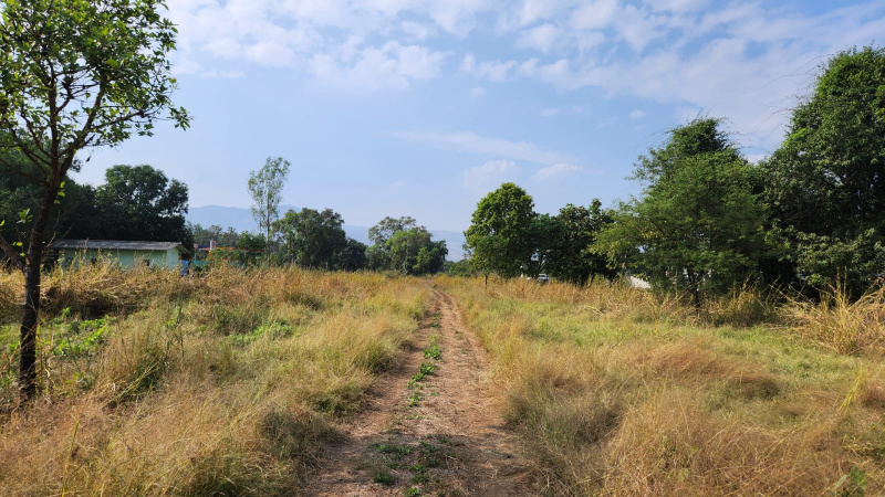  Agricultural Land 4 Acre for Sale in Karjat, Mumbai
