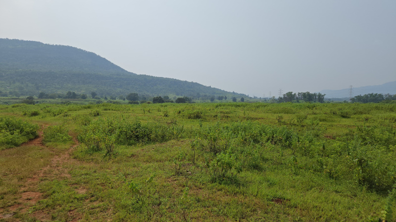  Agricultural Land 40 Acre for Sale in Karjat, Mumbai