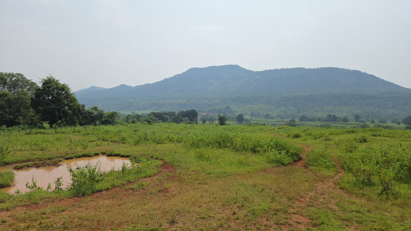  Agricultural Land 40 Acre for Sale in Karjat, Mumbai