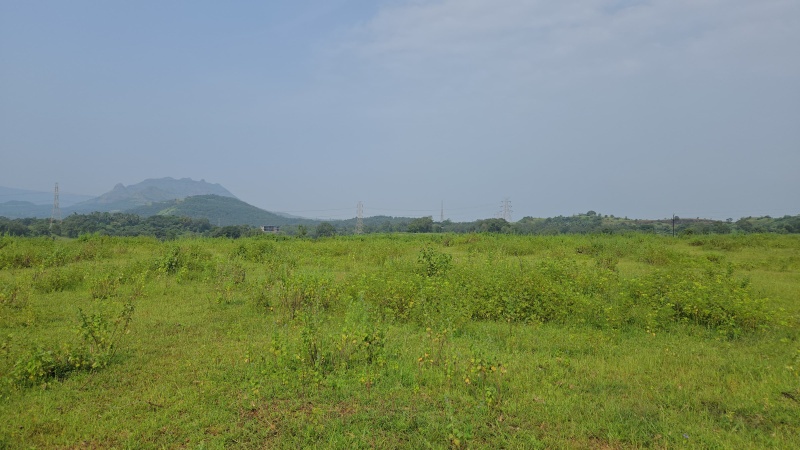  Agricultural Land 40 Acre for Sale in Karjat, Mumbai