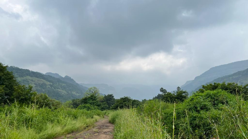  Agricultural Land 73 Acre for Sale in Karjat, Mumbai