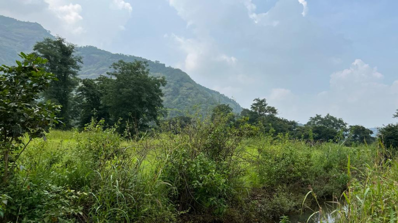  Agricultural Land 73 Acre for Sale in Karjat, Mumbai