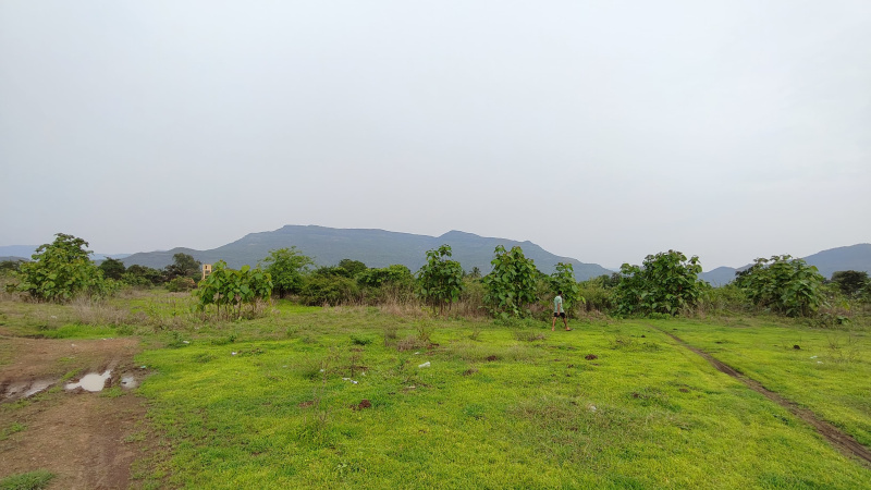  Agricultural Land 10 Acre for Sale in Karjat, Mumbai