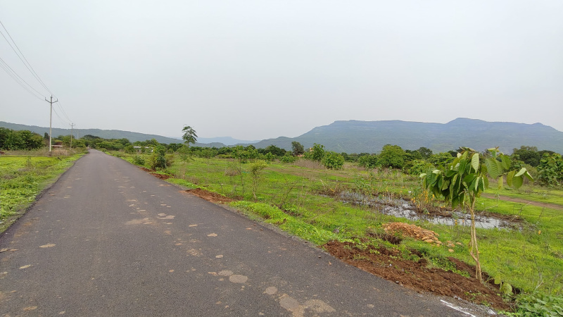  Agricultural Land 10 Acre for Sale in Karjat, Mumbai
