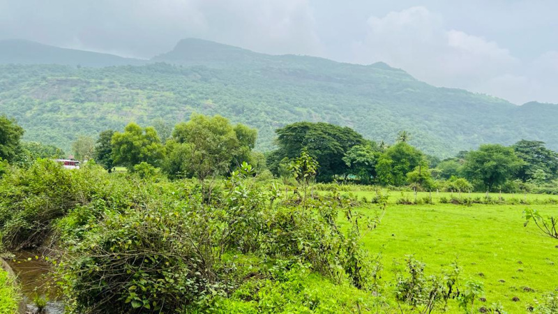  Residential Plot 7 Acre for Sale in Karjat, Mumbai