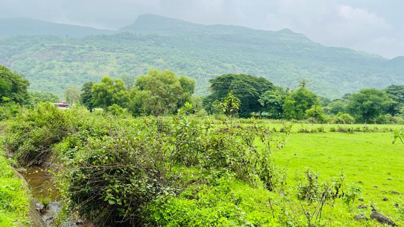  Residential Plot 7 Acre for Sale in Karjat, Mumbai