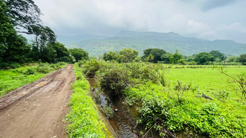  Residential Plot 7 Acre for Sale in Karjat, Mumbai